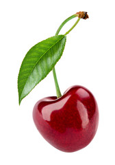 Cherry isolated. Cherry on white background. With clipping path.