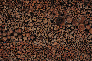 A pile of cut wood. Wood for the production of particle board