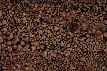 A pile of cut wood. Wood for the production of particle board