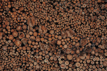 A pile of cut wood. Wood for the production of particle board