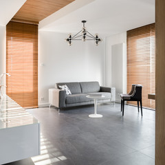 Minimalist interior with wooden blinds