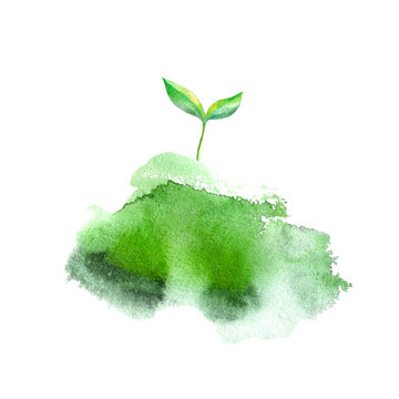 Sprout in the grass.Spring picture.Watercolor hand drawn illustration.White background.