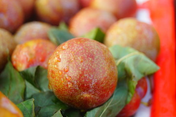 Fruit plums