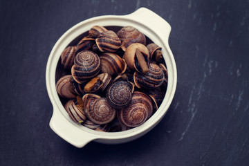 boiled snails with herbs in white bowl on ceramic background