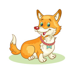 Funny dog breed corgi sits on a meadow. Isolated on a white background. Vector illustration.