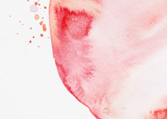 Fototapeta premium Red watercolor liquid texture on white background