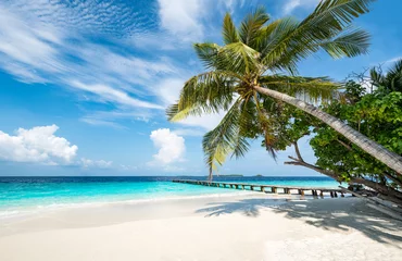 Crédence de cuisine en verre imprimé Bora Bora, Polynésie française Île tropicale avec belle plage et cocotier