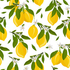 Lemon fruits seamless pattern with flowers and leaves on white background. citrus fruits vector illustration.