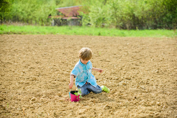 Naklejka na ściany i meble Planting in field. Planting seedlings. Little boy planting flower in field. Fun time at farm. Happy childhood concept. Little helper in garden. Child having fun with little shovel and plant in pot