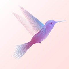 Beautiful  abstract Bird in flight. Isolated  object on white-pink  background.Vector illustration.