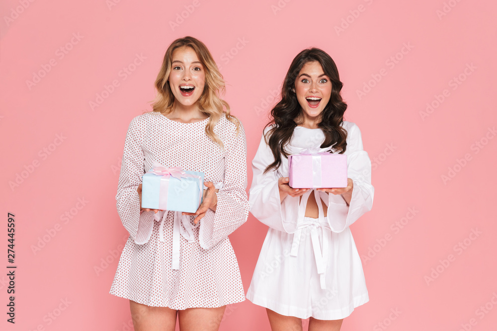 Sticker Happy young two pretty women girls friends sisters posing isolated over pink wall background holding present boxes.