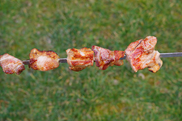 Georgian food. Grilled pork on skewers (shashlik). Popular dish of Georgian cuisine.