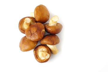 Top view fresh brown chestnut mushrofms vegetable isolated on white background