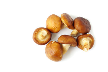 Top view fresh brown chestnut mushrofms vegetable isolated on white background