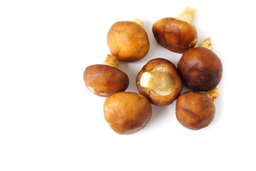 Top view fresh brown chestnut mushrofms vegetable isolated on white background