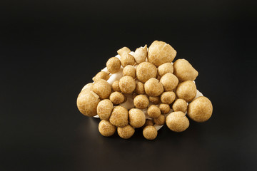 Shimeji Mushrooms vegetable isolated on black background