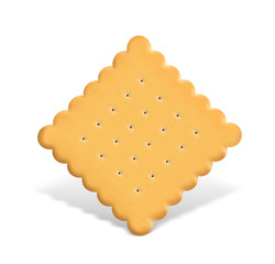 Сracker cookie isolated on white background. Vector illustration. Can be use for your design, presentation, promo. EPS10.	