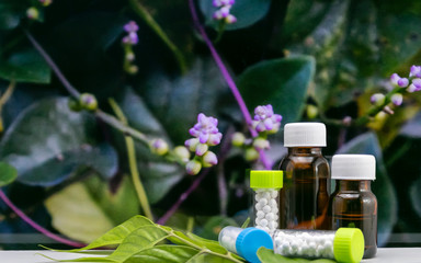Close view of homeopathic medicine liquid bottles and globule sugar ball pills with wild flower and...