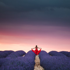 Lavender fields in Provence France ladnscape pretty hot summer