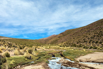 Desert landscapes with mountains in Bolivia at the dry season, dry vegetation is a natural background