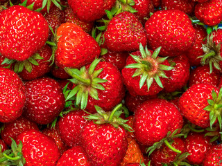 Bunch of juicy organic strawberries shot from above