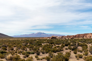 Desert landscapes with mountains in Bolivia at the dry season, dry vegetation is a natural background
