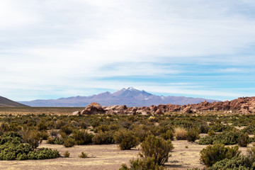 Desert landscapes with mountains in Bolivia at the dry season, dry vegetation is a natural background