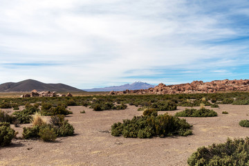 Desert landscapes with mountains in Bolivia at the dry season, dry vegetation is a natural background
