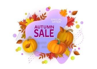 Autumn sale banner with geometric shapes and pumpkins vector illustration isolated.