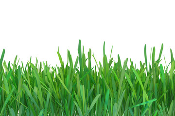 Fototapeta premium Green grass nature. plants lawn. 3d rendering natural background.