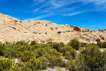 Desert landscapes with mountains in Bolivia at the dry season, dry vegetation is a natural background