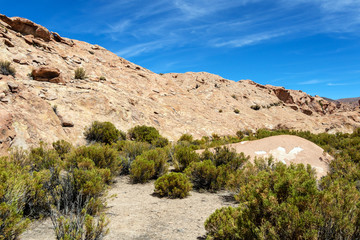Desert landscapes with mountains in Bolivia at the dry season, dry vegetation is a natural background