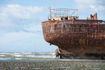Barco oxidado en la costa