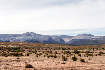 Desert landscapes with mountains in Bolivia at the dry season, dry vegetation is a natural background