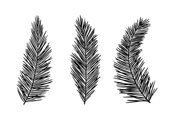 Hand drawn palm silhouettes. vector illustration.