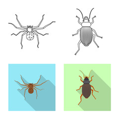Vector design of insect and fly icon. Set of insect and element vector icon for stock.