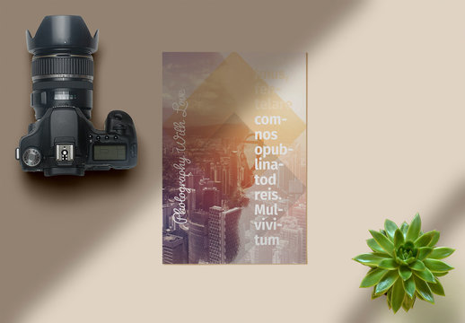 Lookbook Layout with Yellow Accents