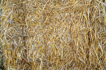 Straw in bale