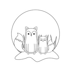 cute foxes animals in landscape