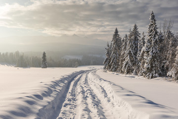 Fototapeta na wymiar Tatra Mountain in winter, landscape wiht wiev of Tatra Poland Pieniny zakopane