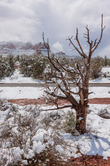 Scenic Winter Landscape in Sedona Arizona