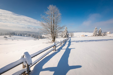 Tatra Mountain in winter, landscape wiht wiev of Tatra Poland Pieniny zakopane