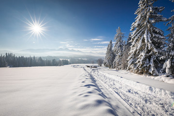 Tatra Mountain in winter, landscape wiht wiev of Tatra Poland Pieniny zakopane