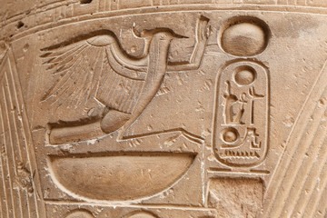 Egyptian Hieroglyphs in Luxor Temple, Luxor, Egypt