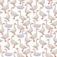 goose on white background watercolor pattern pencil