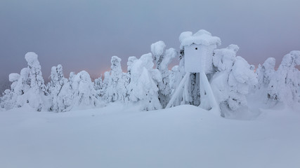 Jeseniky Mountains in winter snow landscape sun 