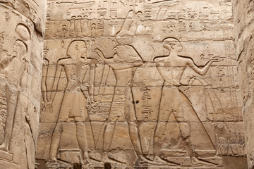 Egyptian Hieroglyphs in Luxor Temple, Luxor, Egypt