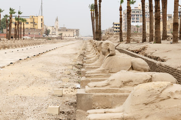 Avenue of Sphinxes in Luxor Temple, Luxor, Egypt