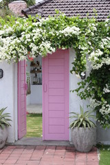 pink door with flowers