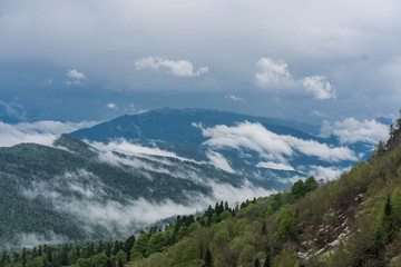 Fototapeta premium Foggy landscape of the morning plateau LagoNaki Adygea Republic with low clouds over the mountain peaks